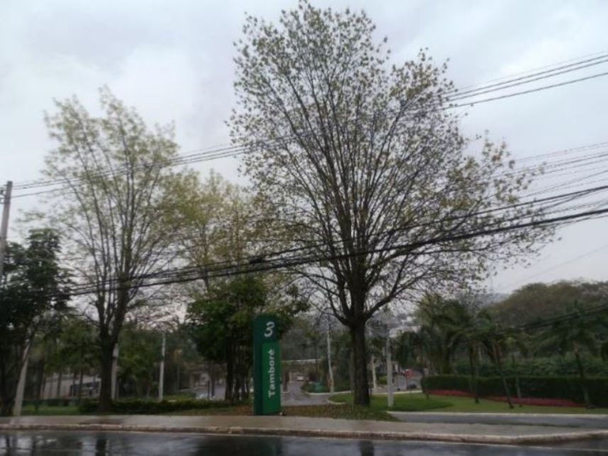 Imagem 3 do Leilão de Terreno - Tamboré - Santana de Parnaíba/SP