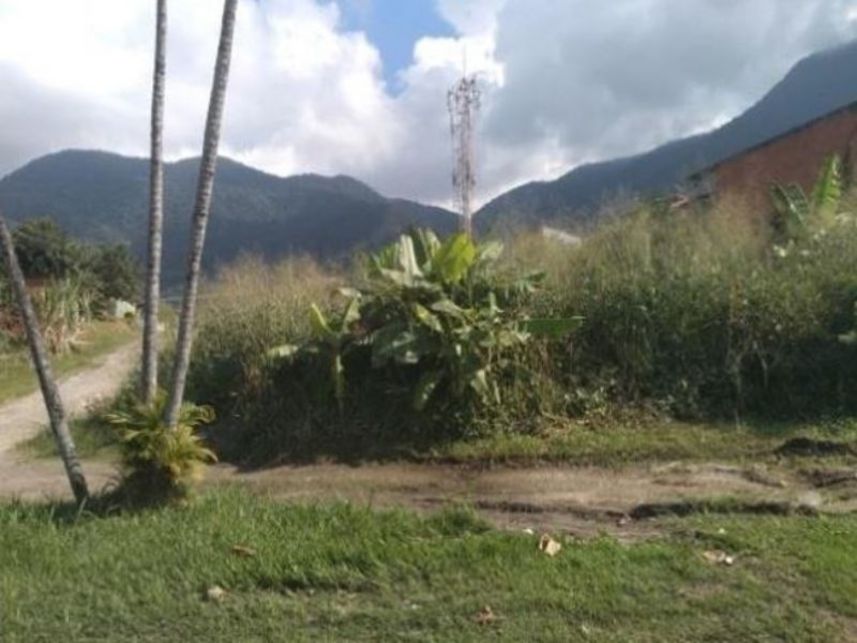 Imagem 14 do Leilão de Terreno - São Francisco da Praia - São Sebastião/SP