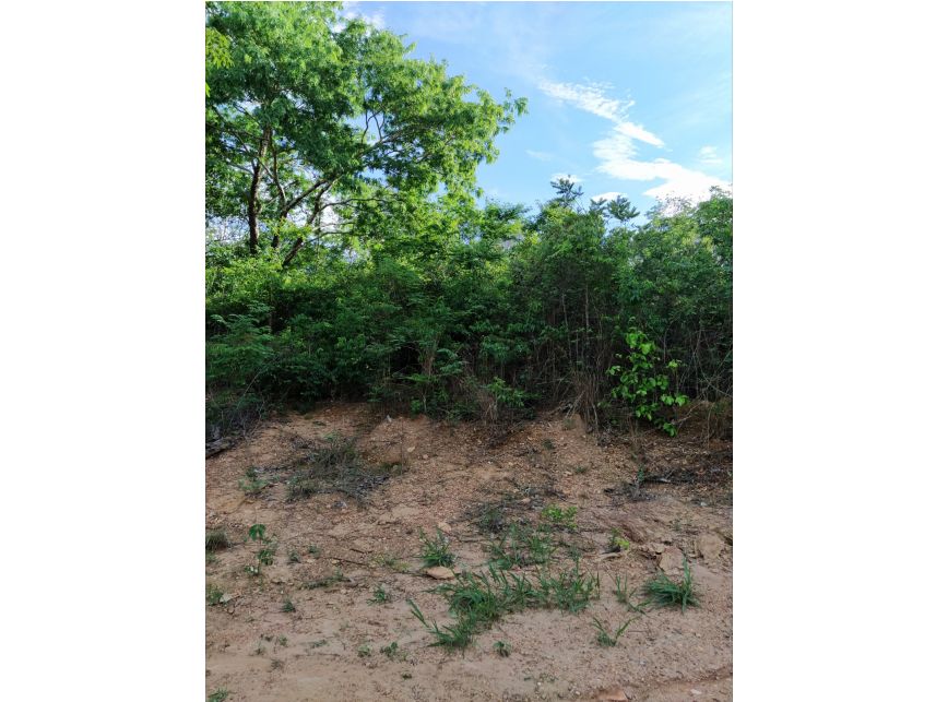 Imagem 2 do Leilão de Terreno - Condomínio Mansões Ilha Bella - Caldas Novas/GO