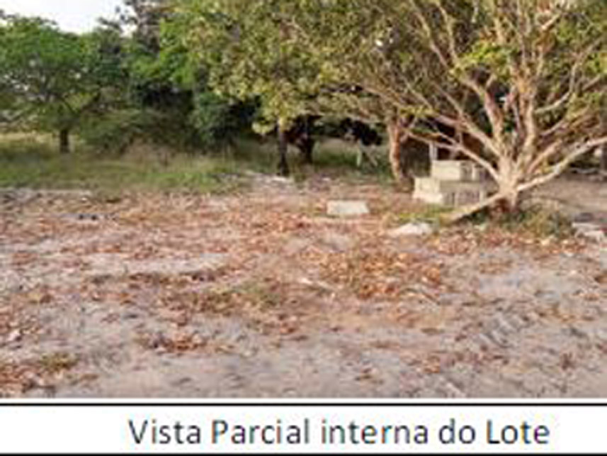 Imagem 5 do Leilão de Área Rural - Senador Hélio Campos - Boa Vista/RR