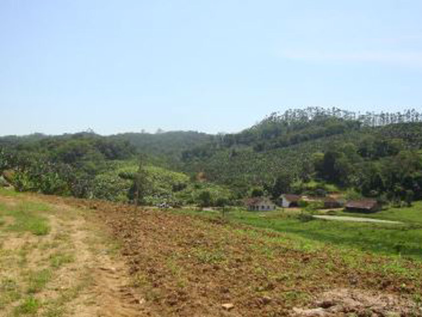 Imagem 3 do Leilão de Área Rural - Área Rural - Massaranduba/SC