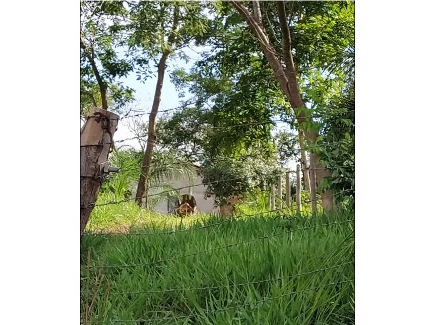 Imagem 4 do Leilão de Terreno - Condomínio Mansões Ilha Bella - Caldas Novas/GO