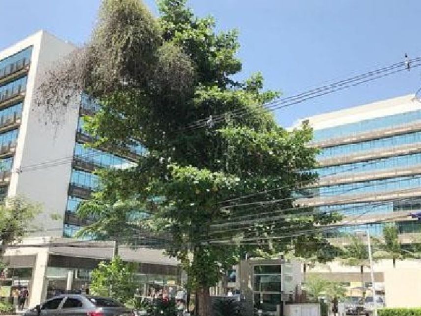 Imagem 12 do Leilão de Sala - Freguesia Jacarepaguá - Rio de Janeiro/RJ