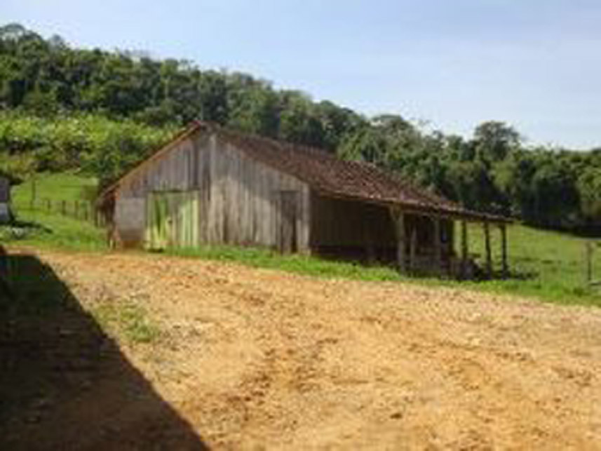 Imagem 14 do Leilão de Área Rural - Área Rural - Massaranduba/SC