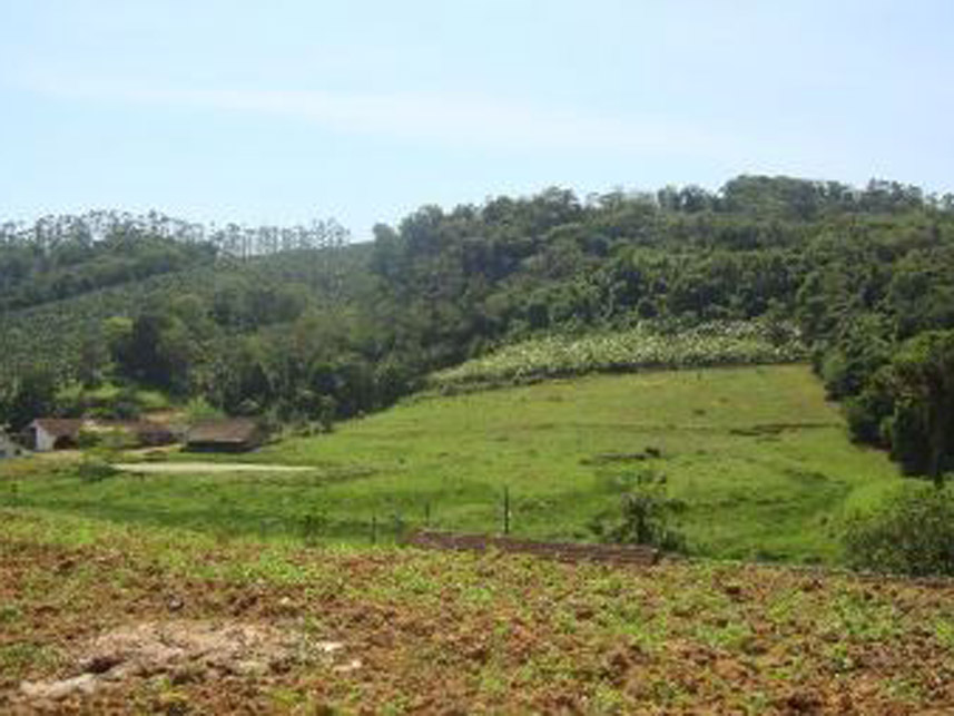 Imagem 2 do Leilão de Área Rural - Área Rural - Massaranduba/SC