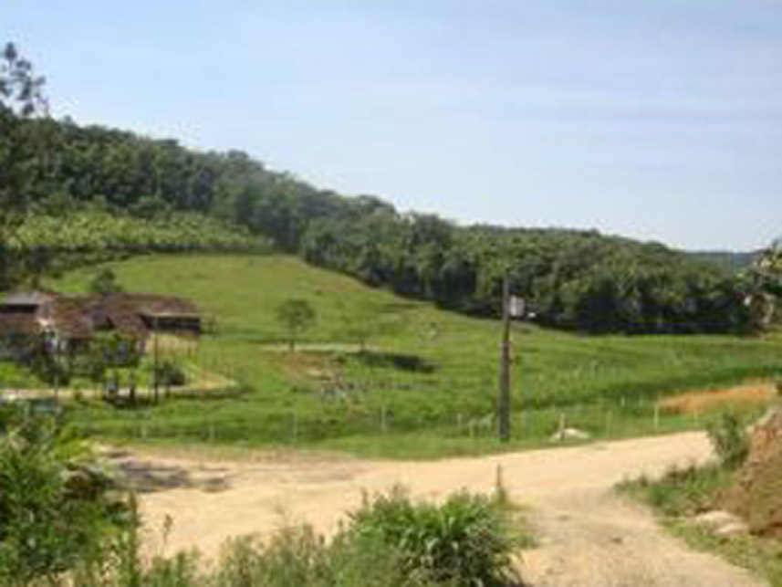 Imagem 1 do Leilão de Área Rural - Área Rural - Massaranduba/SC
