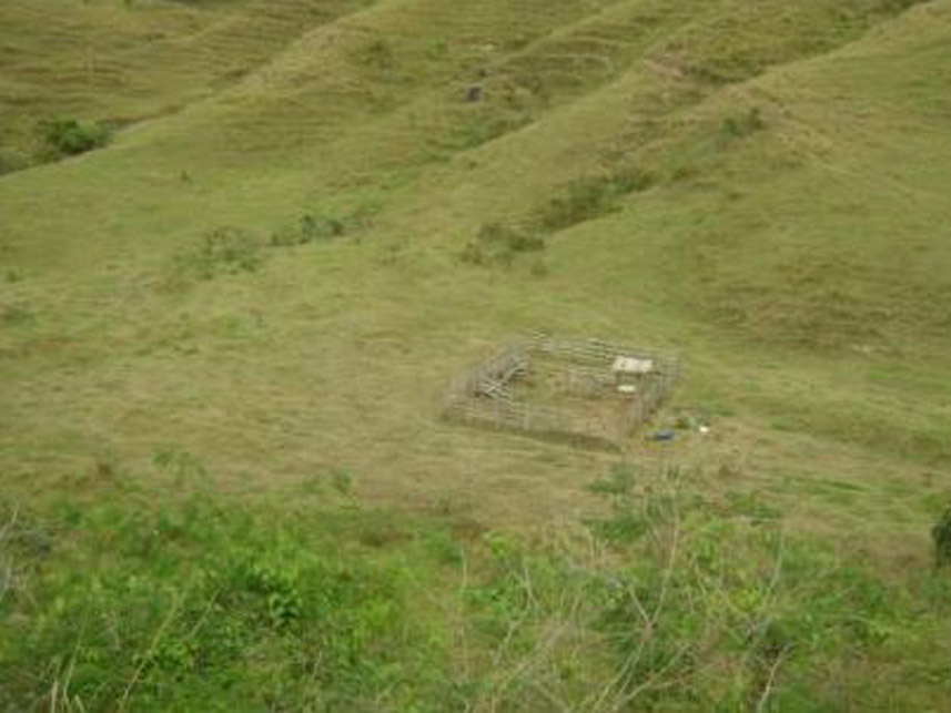 Imagem 5 do Leilão de Área Rural - Área Rural - Silveirânia/MG