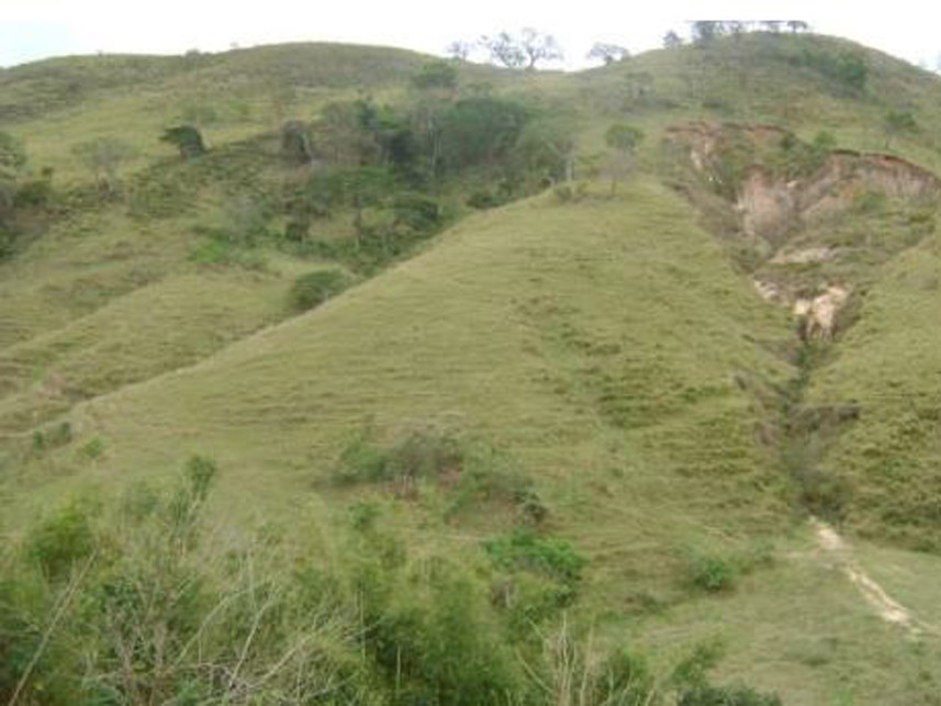 Imagem 2 do Leilão de Área Rural - Área Rural - Silveirânia/MG