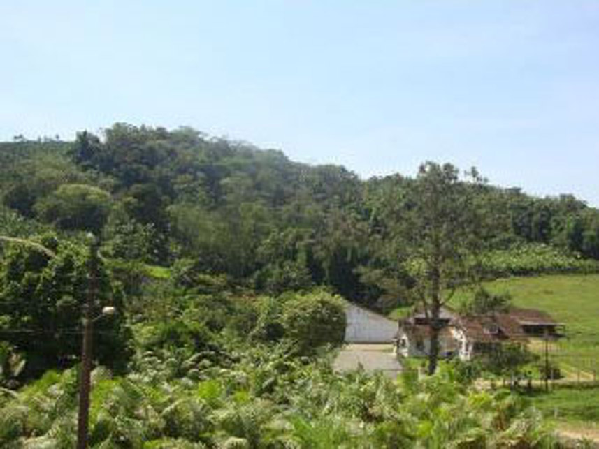 Imagem 5 do Leilão de Área Rural - Área Rural - Massaranduba/SC