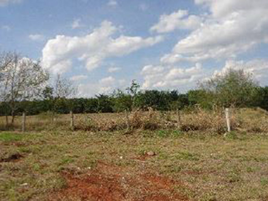 Imagem 4 do Leilão de Terreno - Parque Industrial I - Votuporanga/SP