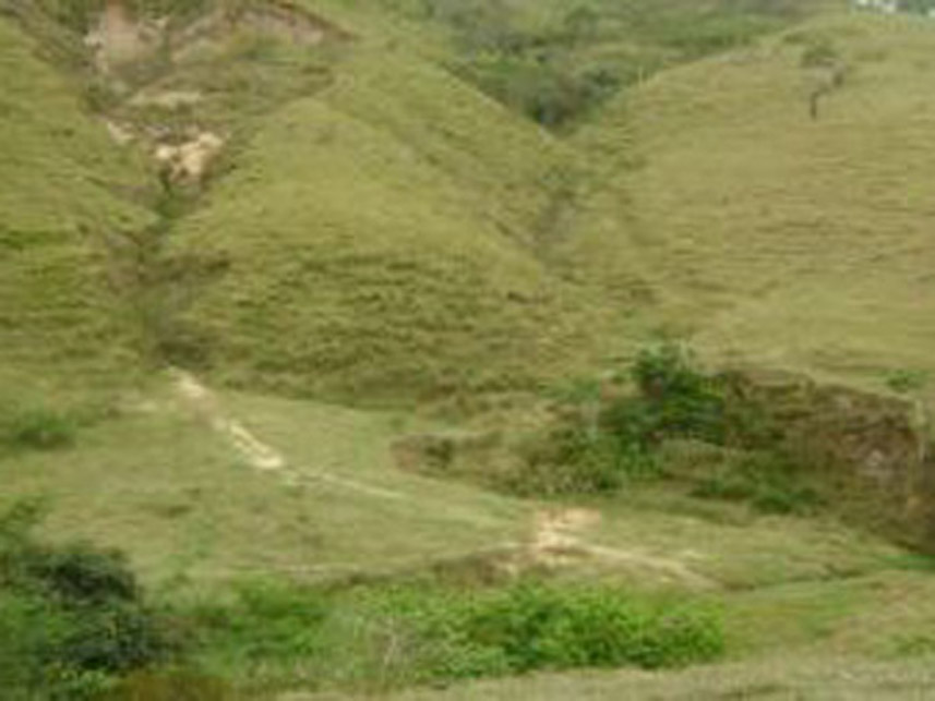 Imagem 1 do Leilão de Área Rural - Área Rural - Silveirânia/MG