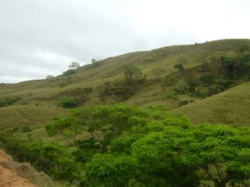 Imagem 7 do Leilão de Área Rural - Área Rural - Silveirânia/MG