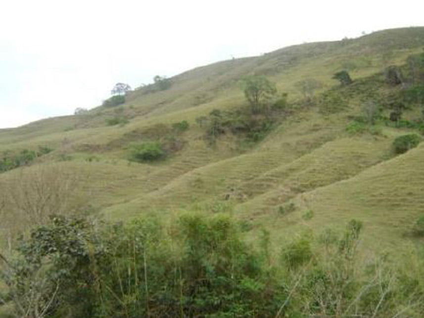 Imagem 4 do Leilão de Área Rural - Área Rural - Silveirânia/MG