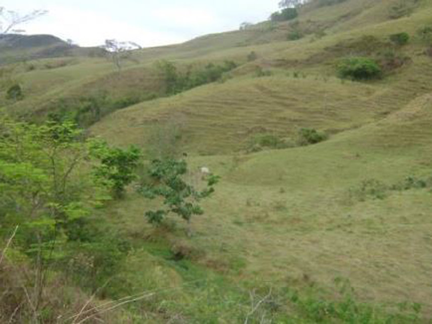 Imagem 6 do Leilão de Área Rural - Área Rural - Silveirânia/MG