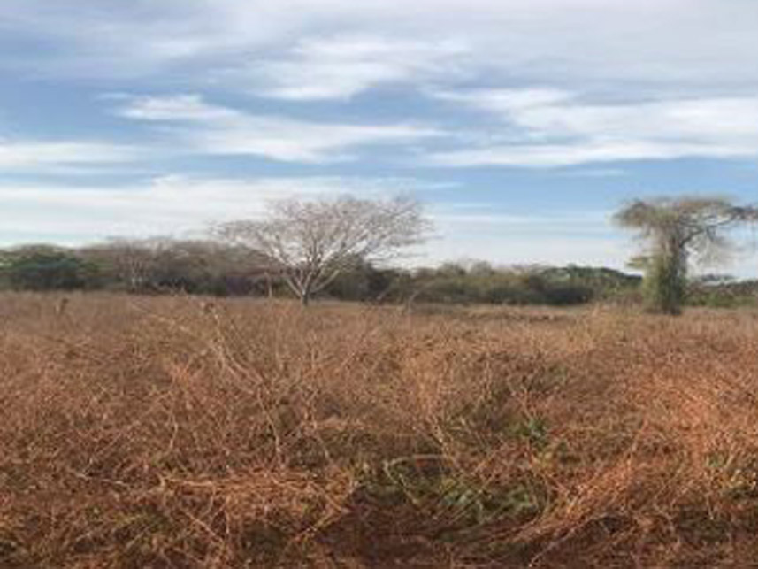 Imagem 1 do Leilão de Área Rural - Fazenda Lagoa Azul Iii - Nova Crixás/GO