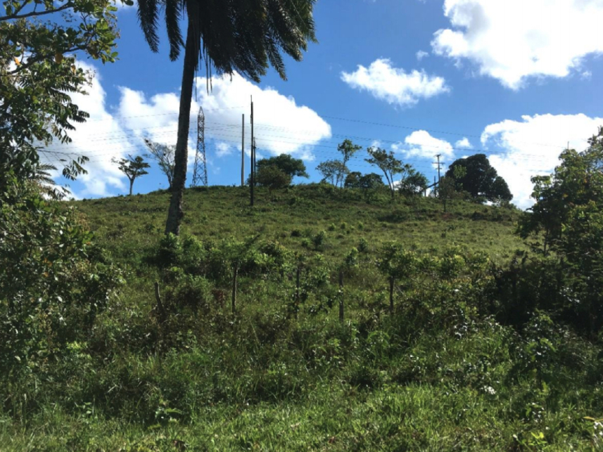 Imagem 2 do Leilão de Terreno - Distrito Industrial - Candeias/BA