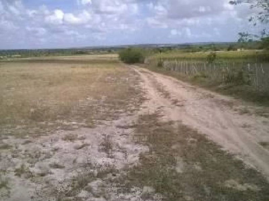 Imagem 5 do Leilão de Área Rural - Zona Rural - Pedro Velho/RN