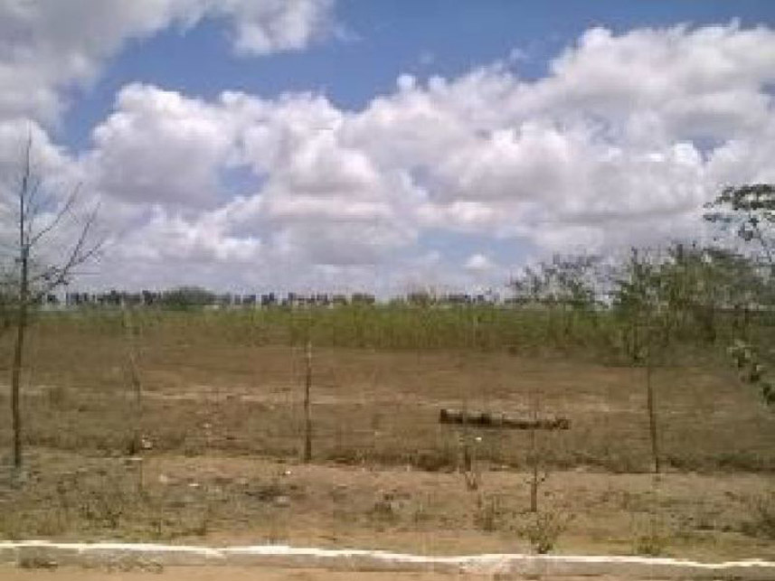Imagem 2 do Leilão de Fazenda - Fazenda - Espírito Santo/RN