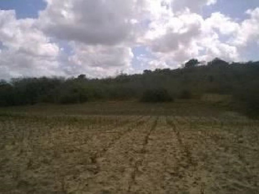 Imagem 3 do Leilão de Área Rural - Zona Rural - Pedro Velho/RN