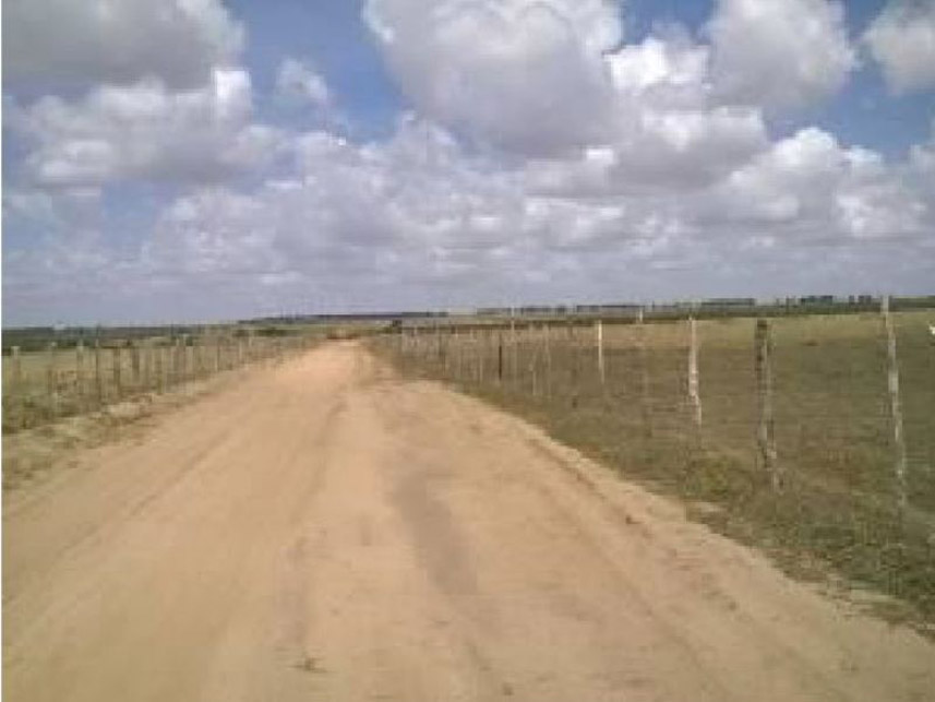 Imagem 5 do Leilão de Fazenda - Fazenda - Espírito Santo/RN