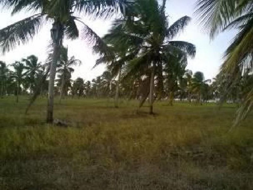 Imagem 3 do Leilão de Fazenda - Fazenda - Pedro Velho/RN