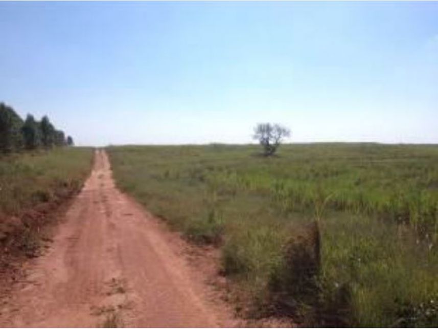 Imagem 5 do Leilão de Área Rural - Faxinal - Itatinga/SP