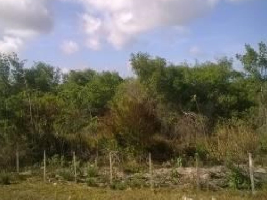 Imagem 3 do Leilão de Terreno - Zona Rural - Nísia Floresta/RN