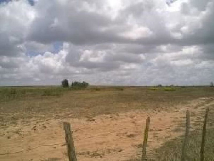 Imagem 3 do Leilão de Fazenda - Fazenda - Espírito Santo/RN