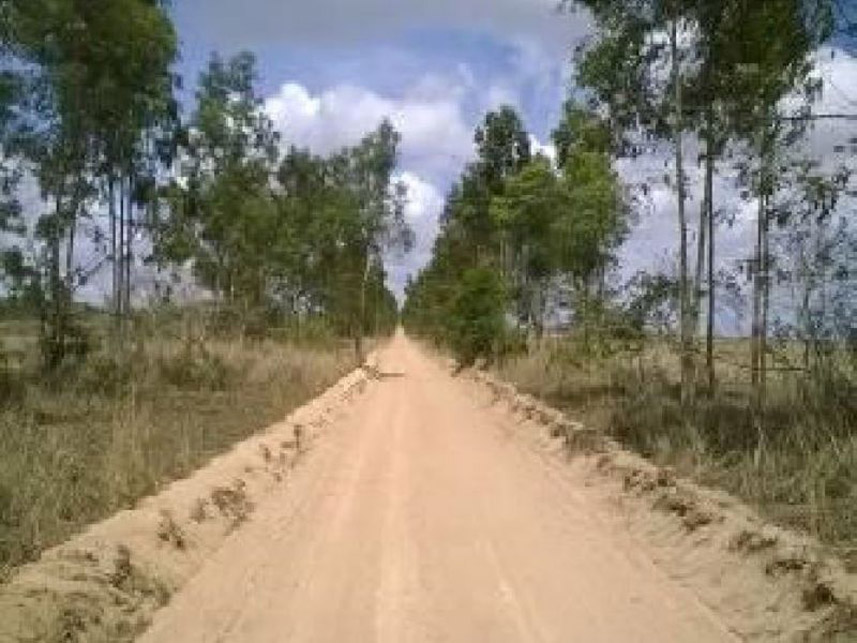 Imagem 3 do Leilão de Fazenda - Fazenda - Pedro Velho/RN