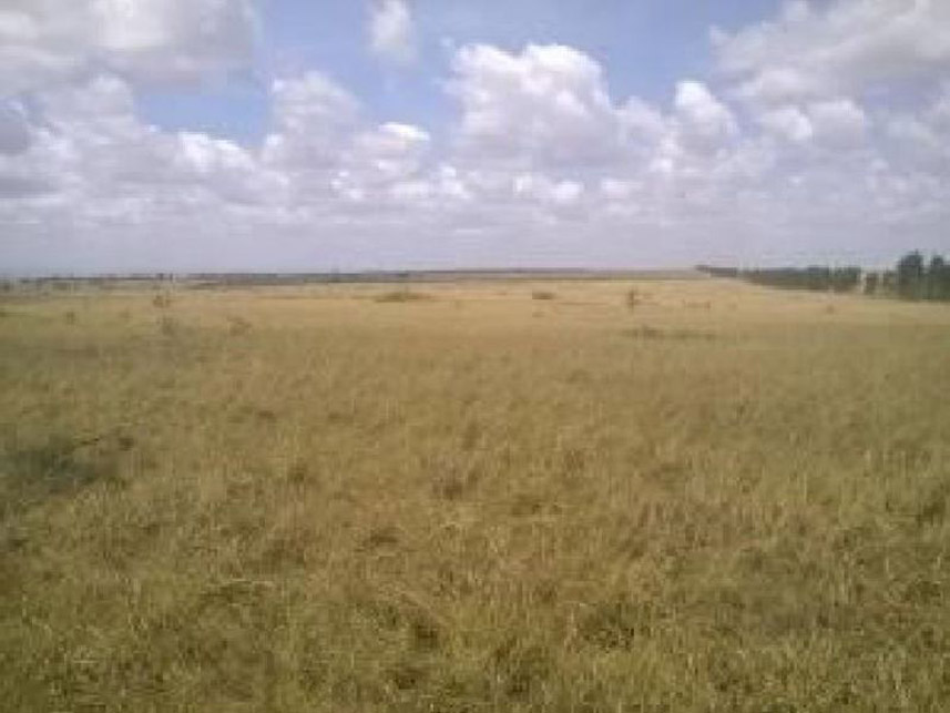 Imagem 1 do Leilão de Fazenda - Fazenda - Espírito Santo/RN