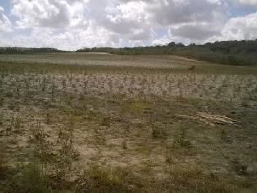 Imagem 4 do Leilão de Área Rural - Zona Rural - Pedro Velho/RN