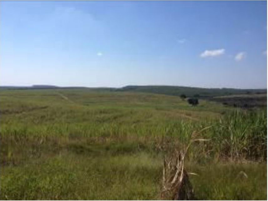 Imagem 11 do Leilão de Área Rural - Faxinal - Itatinga/SP