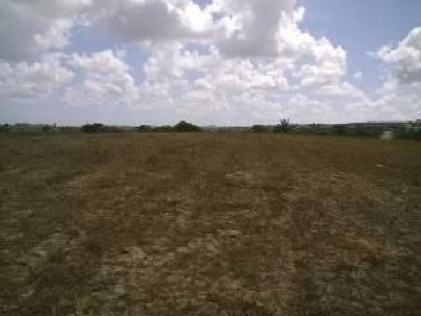 Imagem 2 do Leilão de Área Rural - Zona Rural - Pedro Velho/RN