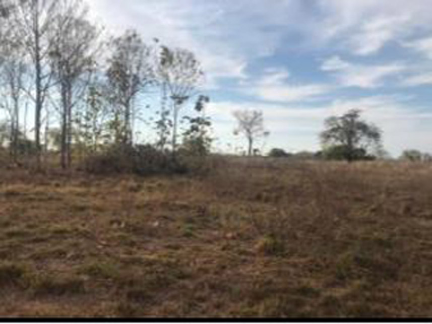 Imagem 5 do Leilão de Área Rural - Fazenda Lagoa Azul Iii - Nova Crixás/GO