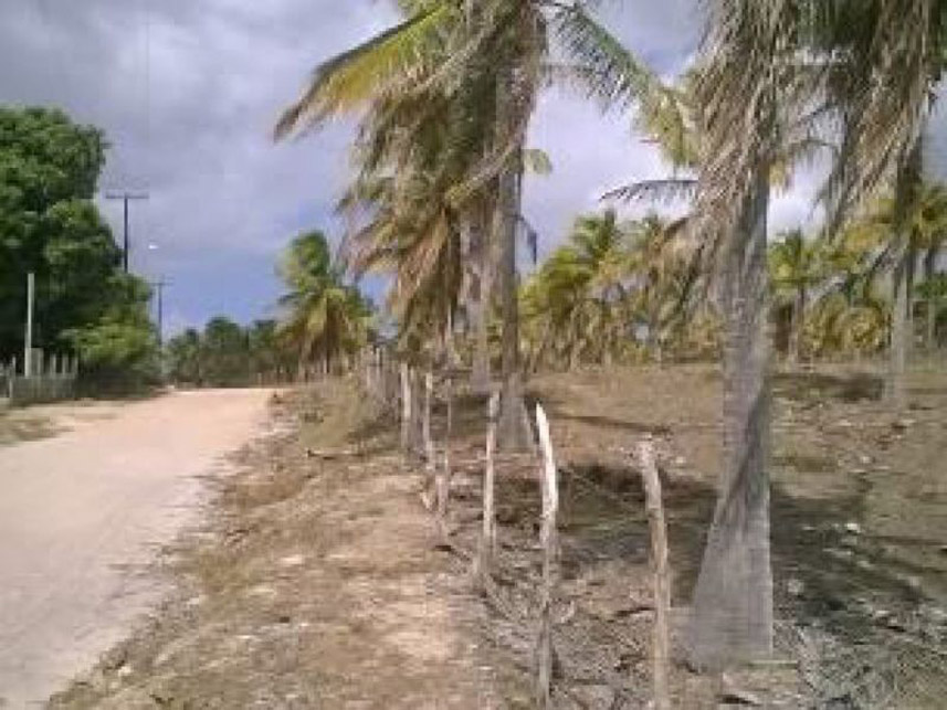 Imagem 2 do Leilão de Área Rural - Zona Rural - Nísia Floresta/RN