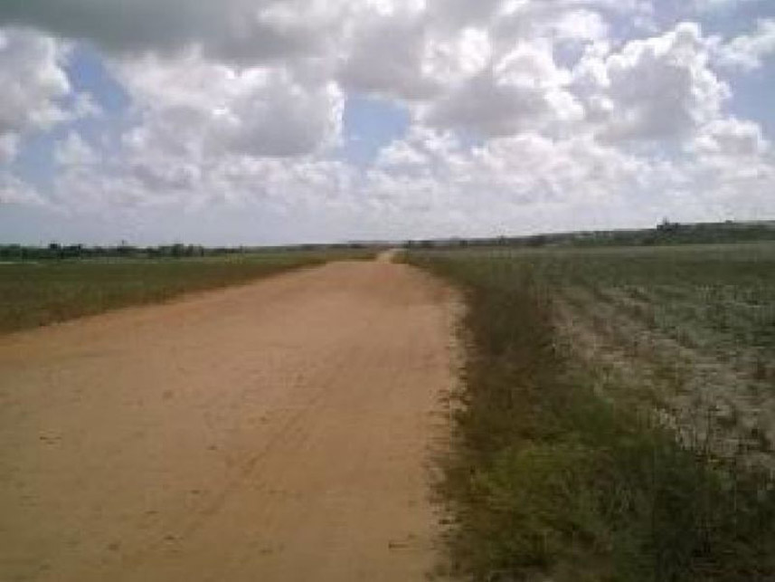 Imagem 6 do Leilão de Área Rural - Zona Rural - Pedro Velho/RN