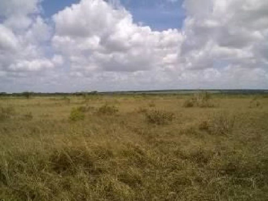 Imagem 4 do Leilão de Fazenda - Fazenda - Pedro Velho/RN