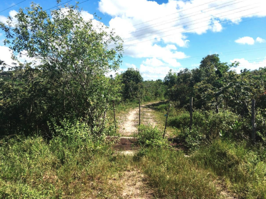 Imagem 1 do Leilão de Terreno - Distrito Industrial - Candeias/BA