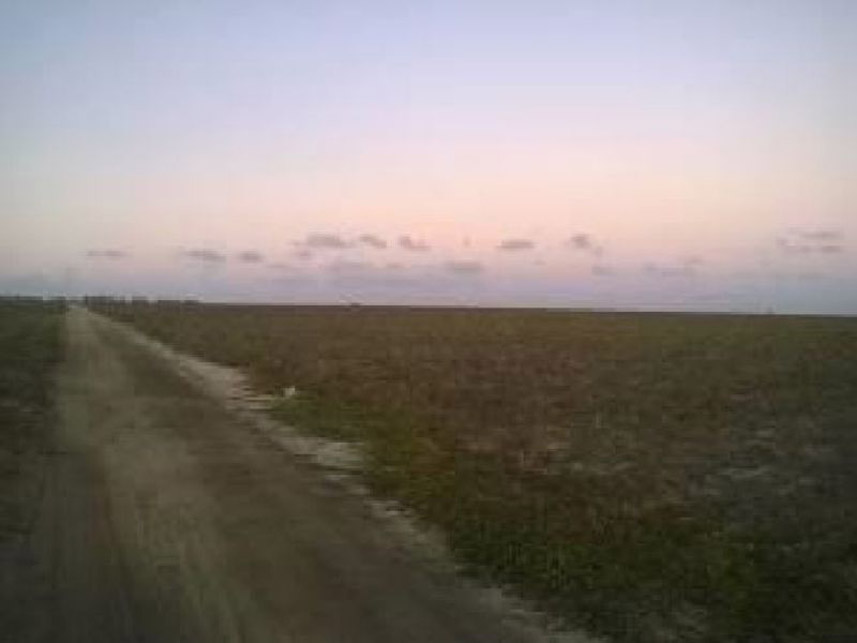 Imagem 5 do Leilão de Fazenda - Fazenda - Pedro Velho/RN