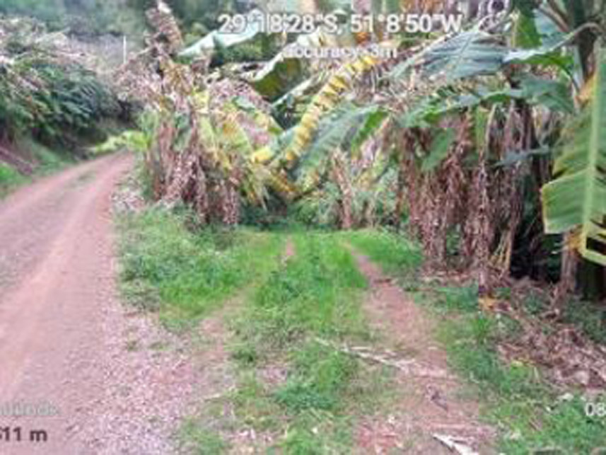 Imagem 2 do Leilão de Área Rural - Distrito de Galópolis - Caxias do Sul/RS