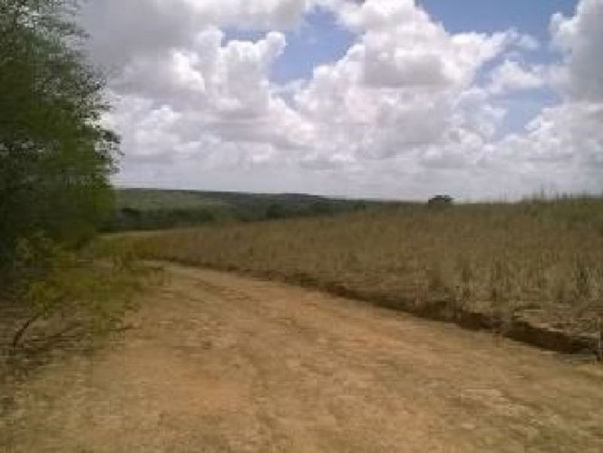 Imagem 2 do Leilão de Fazenda - Fazenda - Pedro Velho/RN