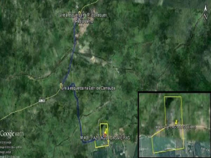 Imagem 9 do Leilão de Área Rural - Zona Rural - Pedro Velho/RN