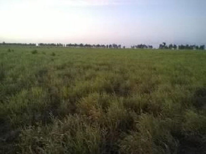 Imagem 1 do Leilão de Fazenda - Fazenda - Pedro Velho/RN