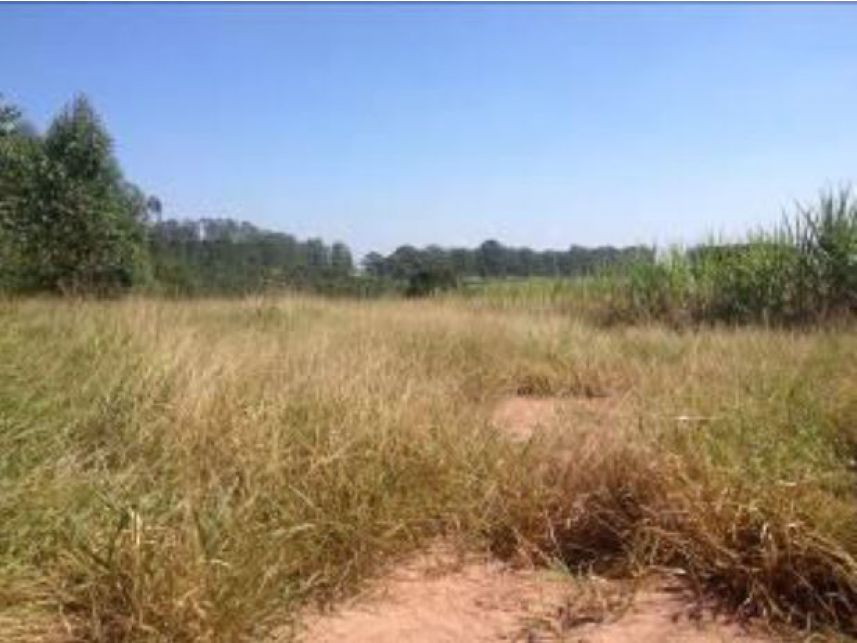 Imagem 4 do Leilão de Área Rural - Faxinal - Itatinga/SP