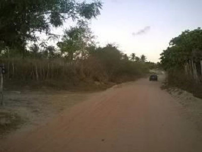 Imagem 6 do Leilão de Fazenda - Fazenda - Pedro Velho/RN