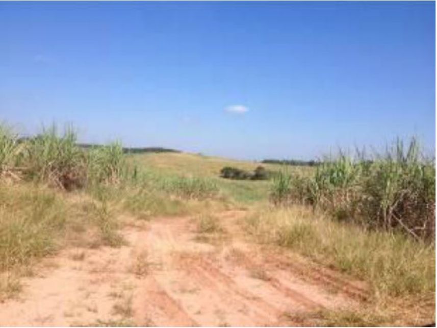 Imagem 7 do Leilão de Área Rural - Faxinal - Itatinga/SP