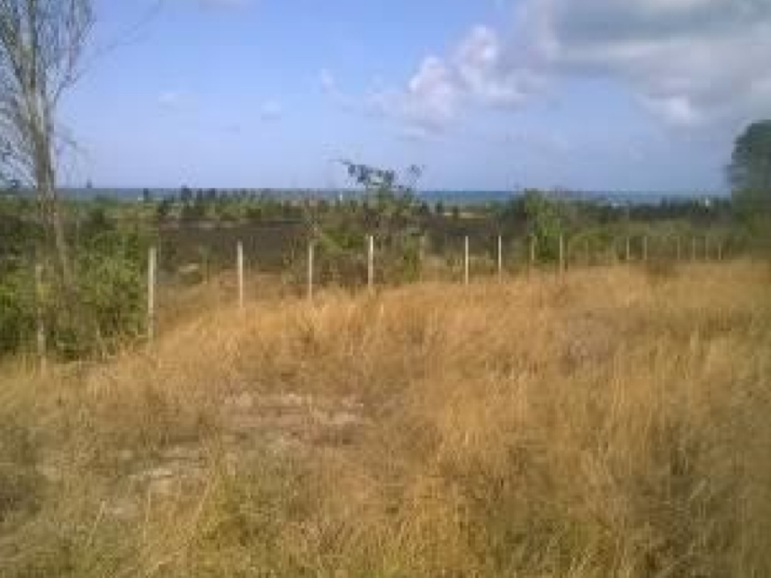 Imagem 4 do Leilão de Terreno - Zona Rural - Nísia Floresta/RN