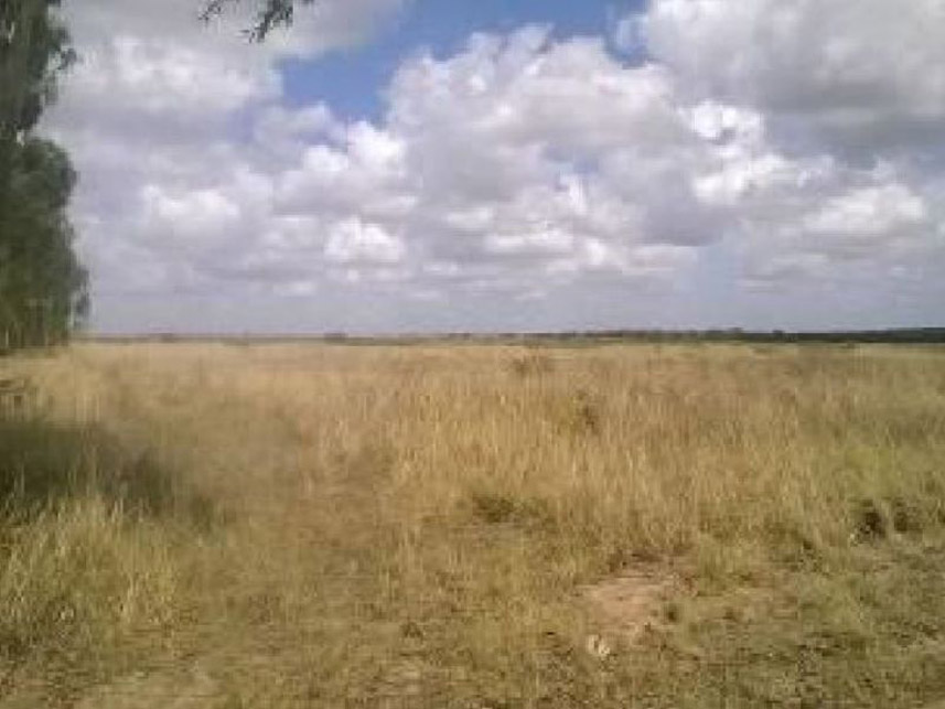 Imagem 1 do Leilão de Fazenda - Fazenda - Pedro Velho/RN
