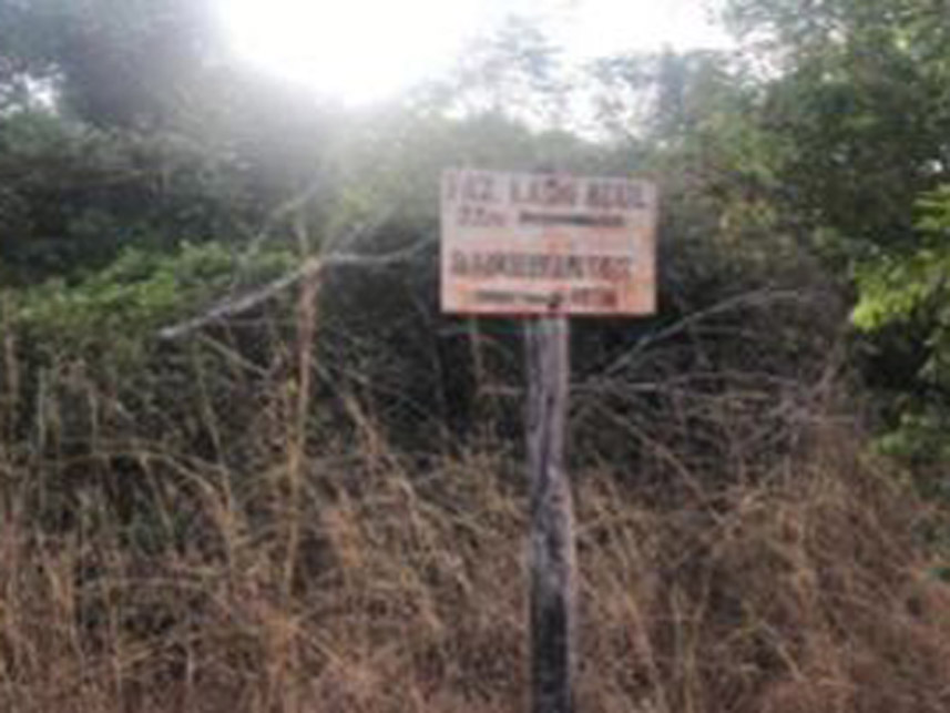Imagem 9 do Leilão de Área Rural - Fazenda Lagoa Azul Iii - Nova Crixás/GO