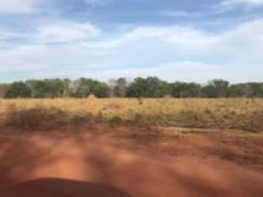 Imagem 2 do Leilão de Área Rural - Fazenda Lagoa Azul Iii - Nova Crixás/GO